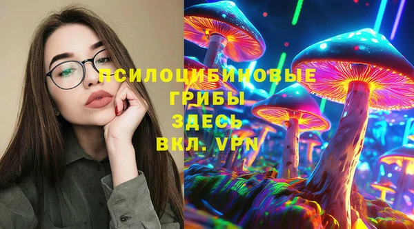 дмт Абаза