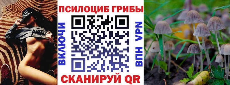 это формула  наркота  Ржев  Псилоцибиновые грибы мицелий 